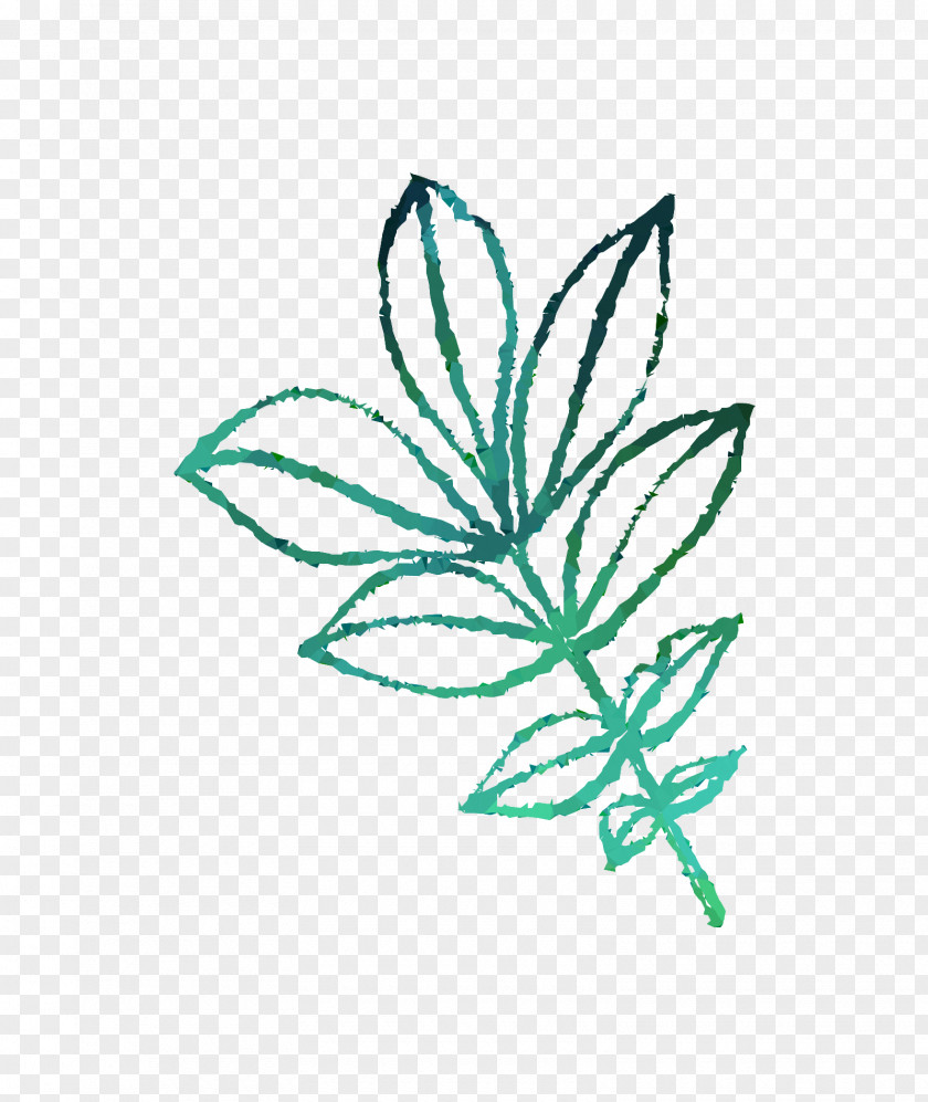 Flowering Plant Stem Leaf Line PNG