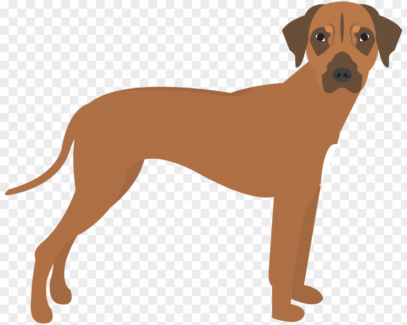 Hound Africanis Cartoon Baby PNG