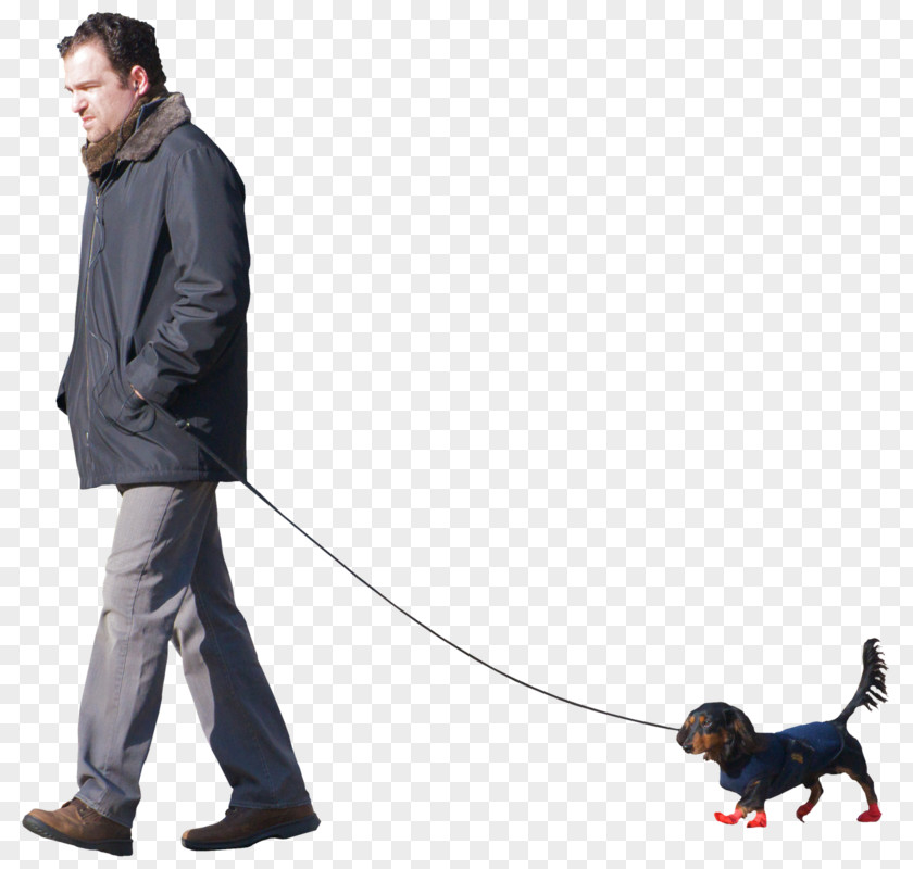 People With Dog Breed Obedience Training Leash Walking PNG