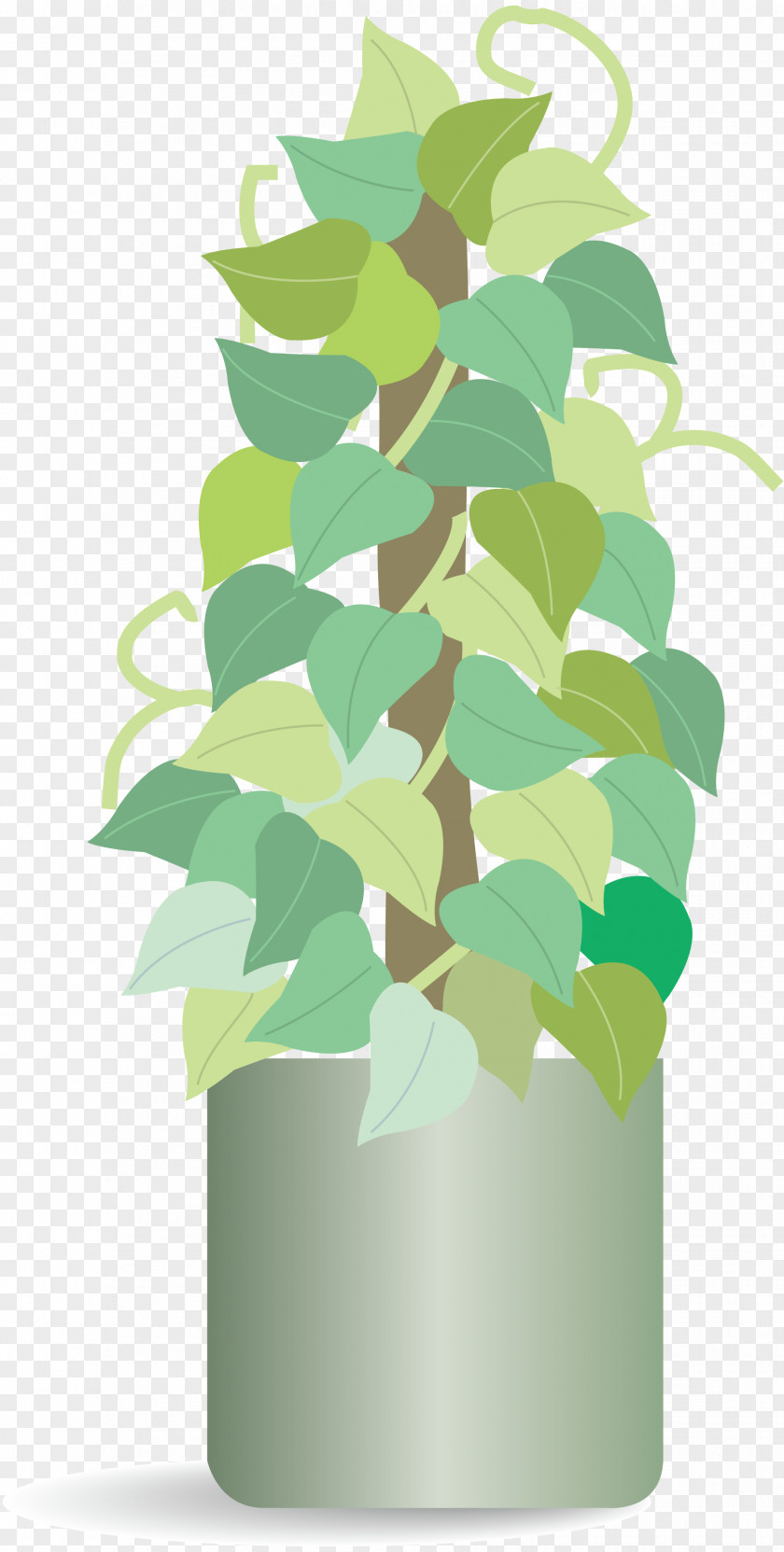 Plantas Houseplant Clip Art PNG