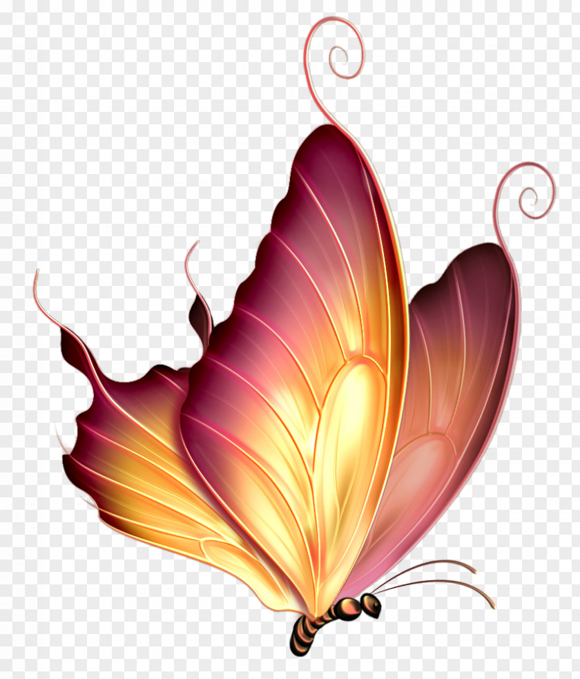 Gorgeous Butterfly Silhouette,Cartoon Dream Gwalior Varanasi Drawing PNG