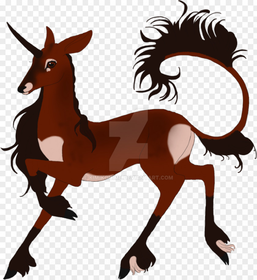 Mustang Mule Foal Colt Donkey PNG