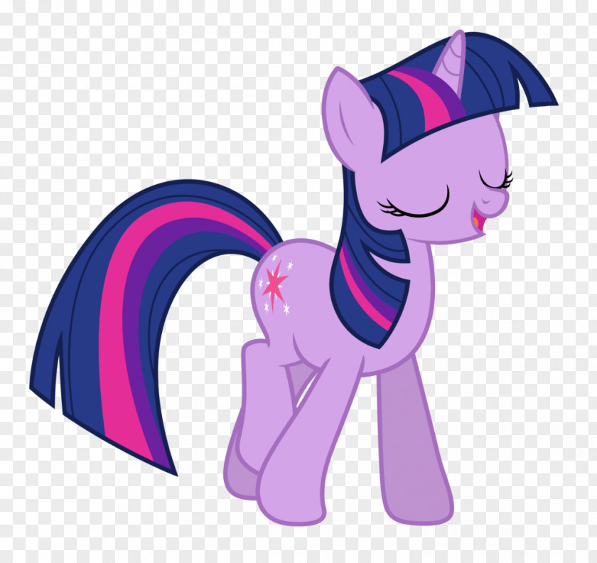 My Little Pony Twilight Sparkle Rainbow Dash Winged Unicorn PNG