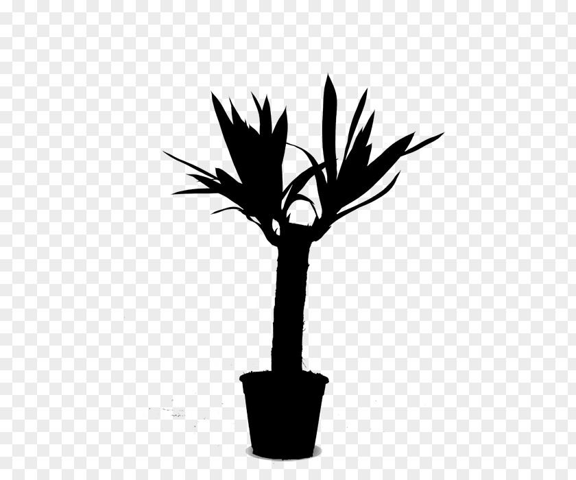 Palm Trees Plant Stem Flower Leaf Silhouette PNG