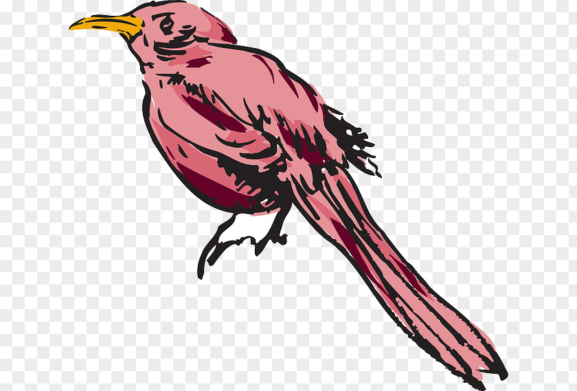 Pink Bird Feather Wing Clip Art PNG