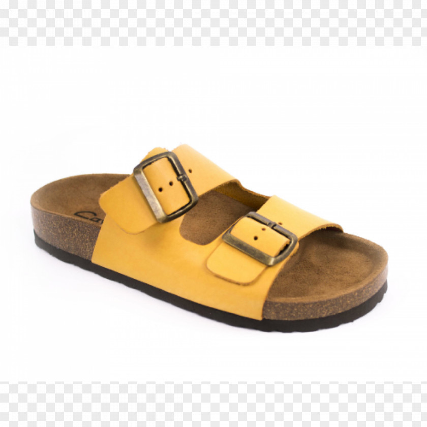 Sandal Slide PNG