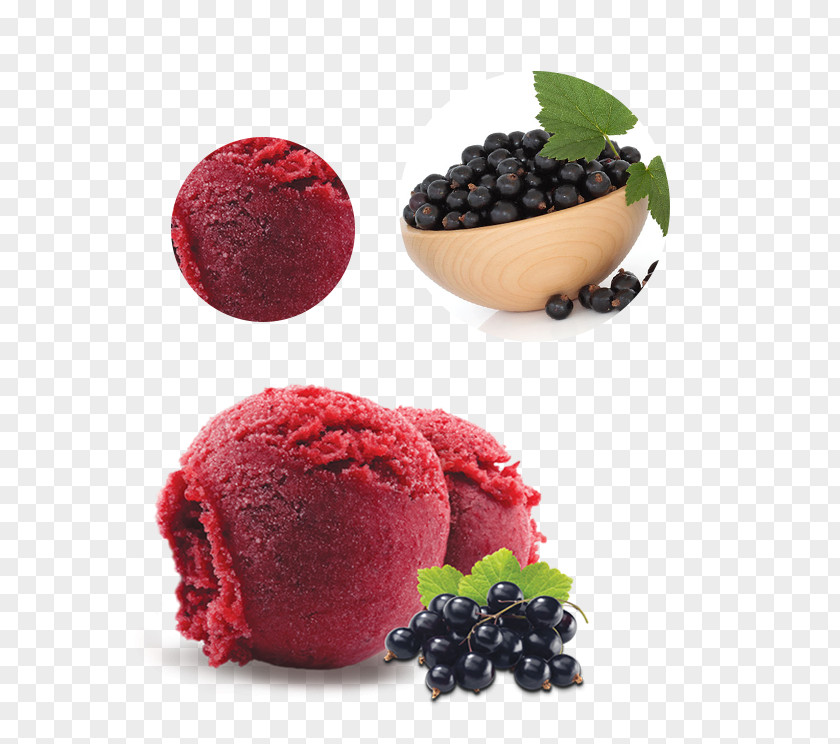 Ice Cream Blackcurrant Sorbet Gelato Fruit PNG