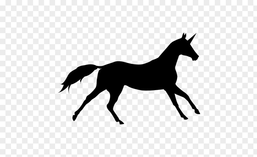 Unicornio Horse Silhouette Clip Art PNG