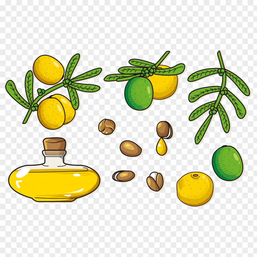 Vector Delicious Mango Beans Lemon Euclidean PNG