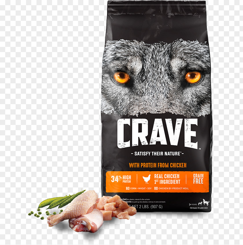 Dog Food Cat Pet PNG