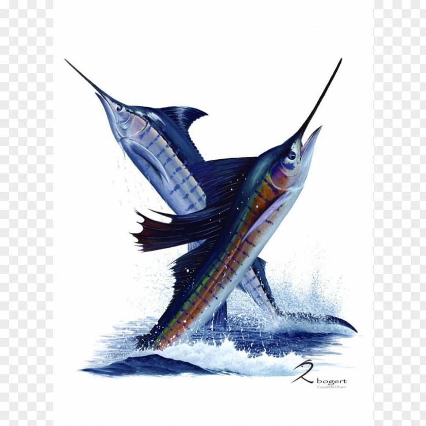 Fishing Swordfish Sailfish Atlantic Blue Marlin Striped Recreational PNG