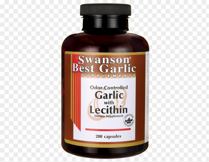 Garlic Supplements Dietary Supplement Apple Cider Vinegar Tea Tree Oil Lecithin Health PNG