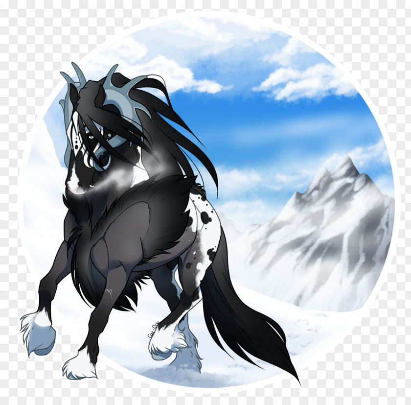 Horse Canidae Dog Desktop Wallpaper PNG