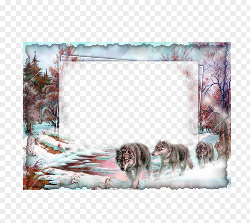 Snow Wolf Frame Picture Collage Film PNG