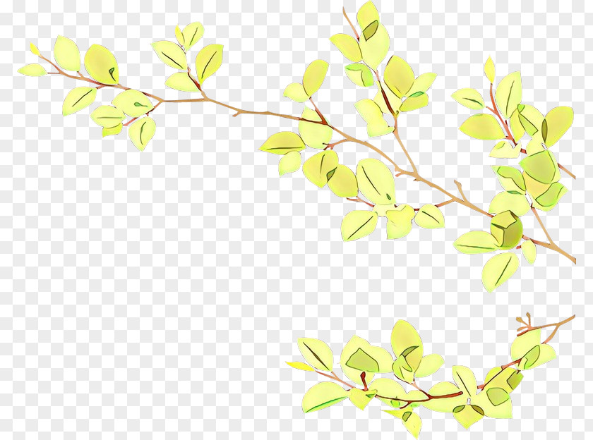 Tree Flower Branch PNG