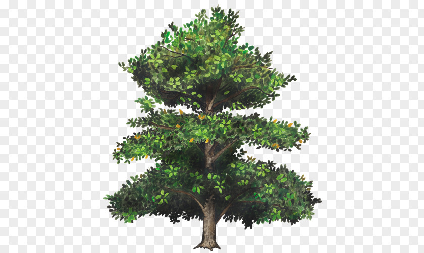 Arboles Christmas Tree Tinsel Branch PNG