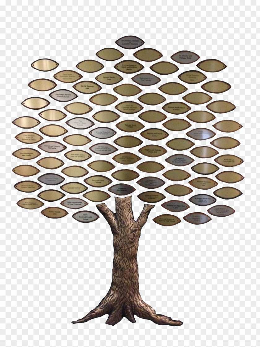 Giving Tree Computer Bathroom Construction Text Color PNG