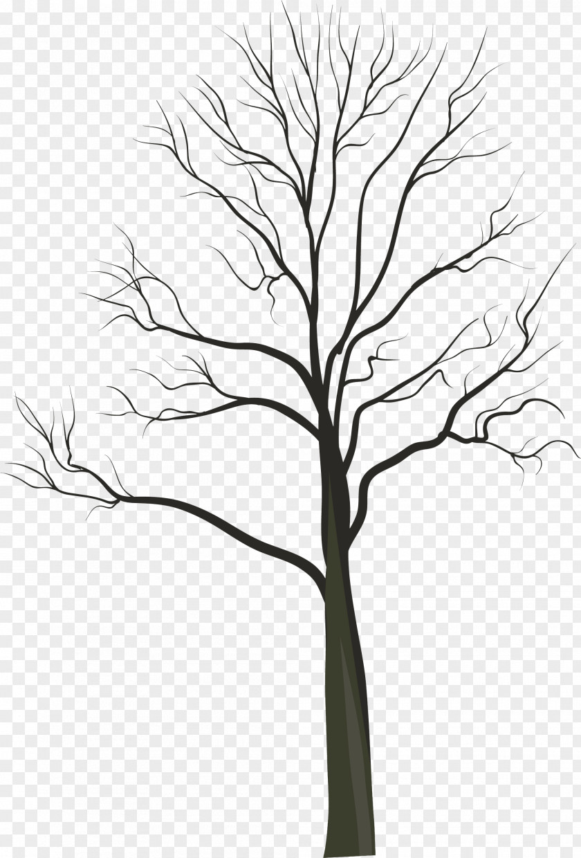 Hand-paint Tree Photography PNG