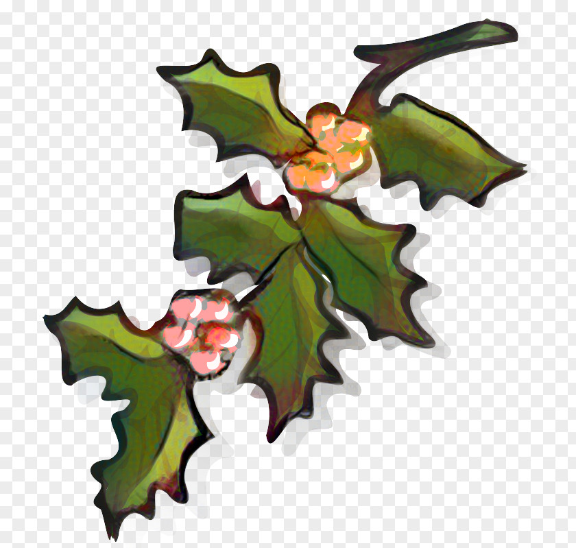 Holly Aquifoliales Christmas Ornament Graphics Clip Art PNG