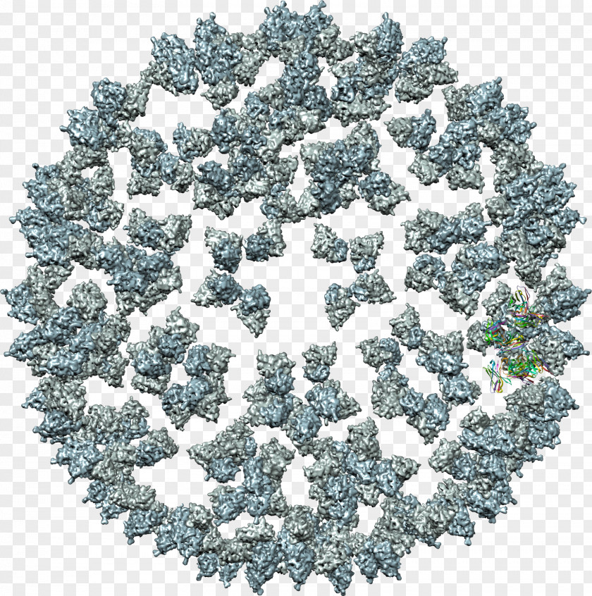 Human Papilloma Virus Clip Art Mosaic Computer Software PNG