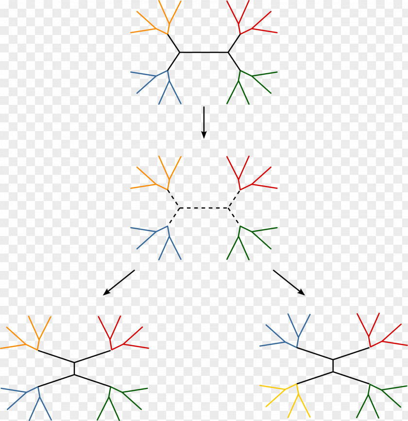 Pruning Circle Line Triangle Point PNG