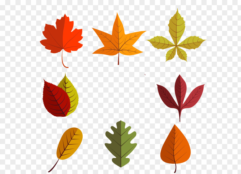 Autumn Leaves Material Leaf Euclidean Vector PNG