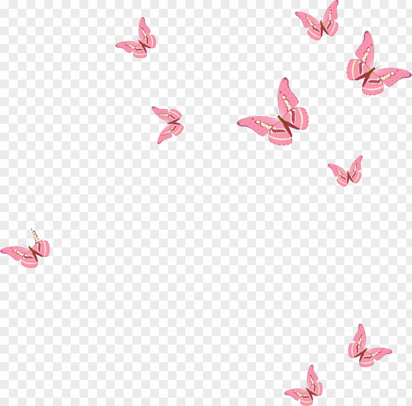 Butterfly Euclidean Vector Pink PNG