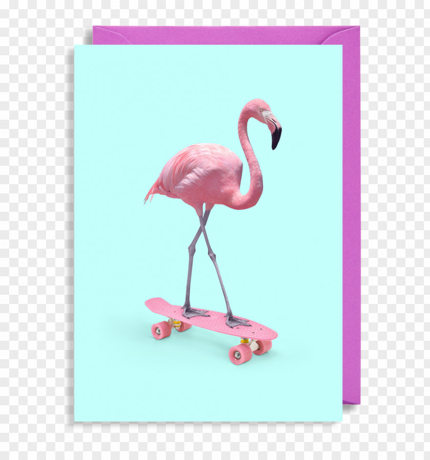 Flamingo Poster Skateboarding Work Of Art PNG