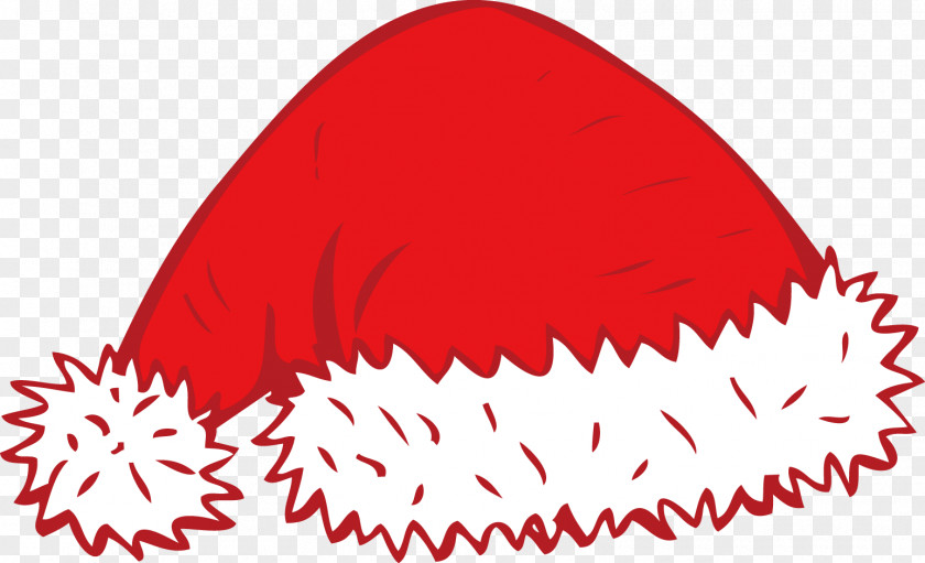 Hat Santa Claus Christmas Snowflake PNG