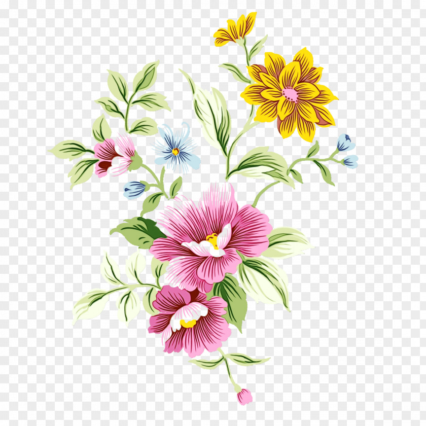 Herbaceous Plant Daisy Family Flower Art Watercolor PNG