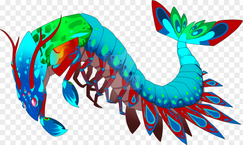 Mantis Shrimp Art Odontodactylus Scyllarus PNG