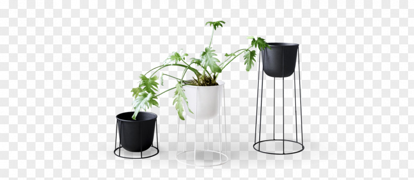Pot Plant Flowerpot Vase Terrace Blender Fob PNG