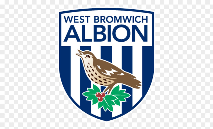 Premier League West Bromwich Albion F.C. Manchester United FA Cup PNG