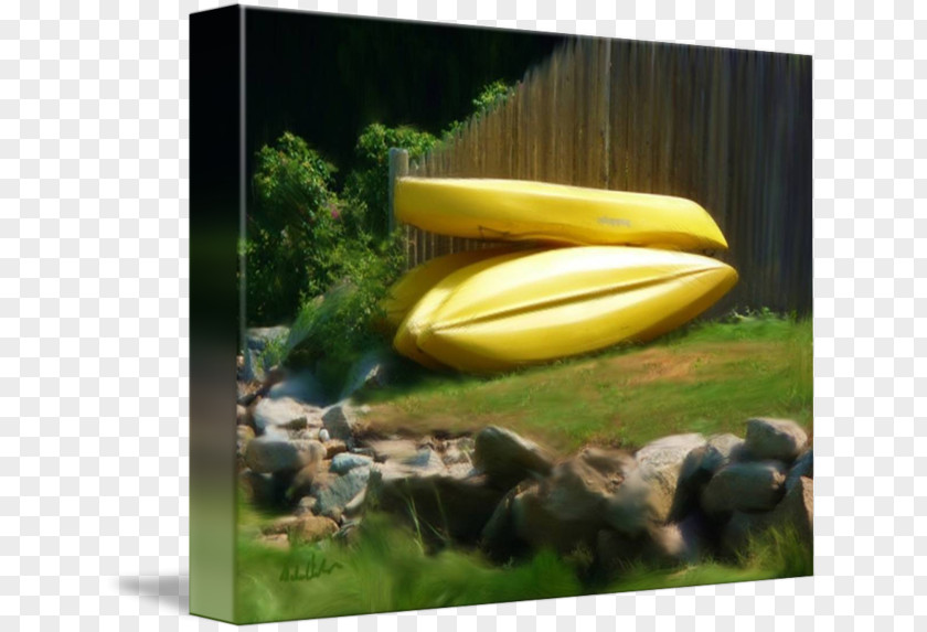 Banana Boat Insect PNG