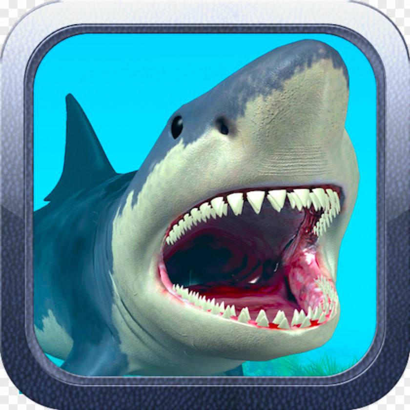 Big White Shark Minecraft Mods Video Game PNG