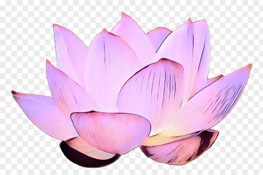Clip Art Nymphaea Nelumbo Image Royalty-free PNG