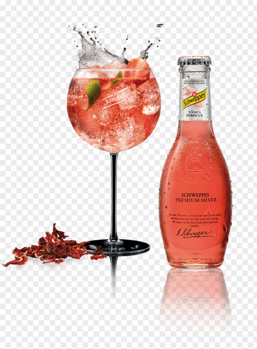 Cocktail Tonic Water Gin And Wine PNG