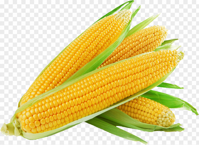 Corn On The Cob Sweet Maize Baked Potato 1st Choice Fruit & Veg PNG