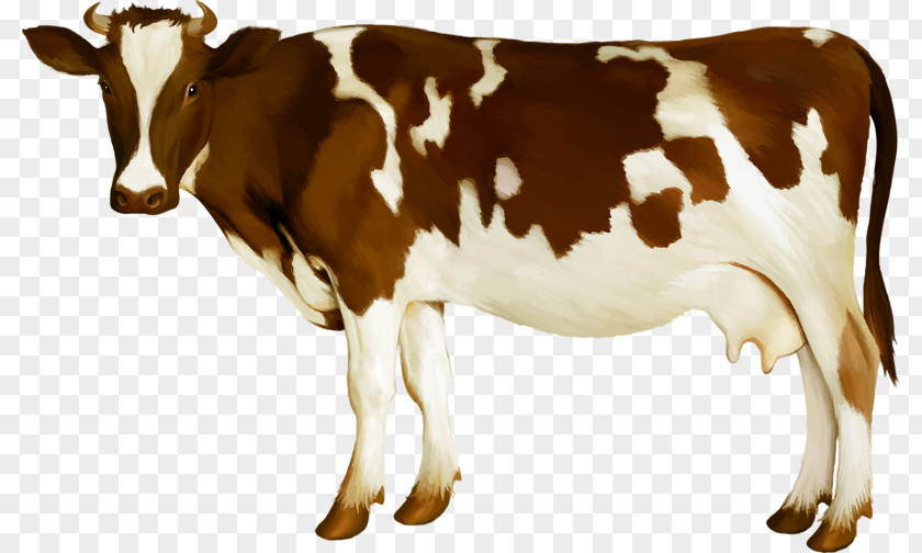Cow Simmental Cattle Milk Dairy Calf PNG