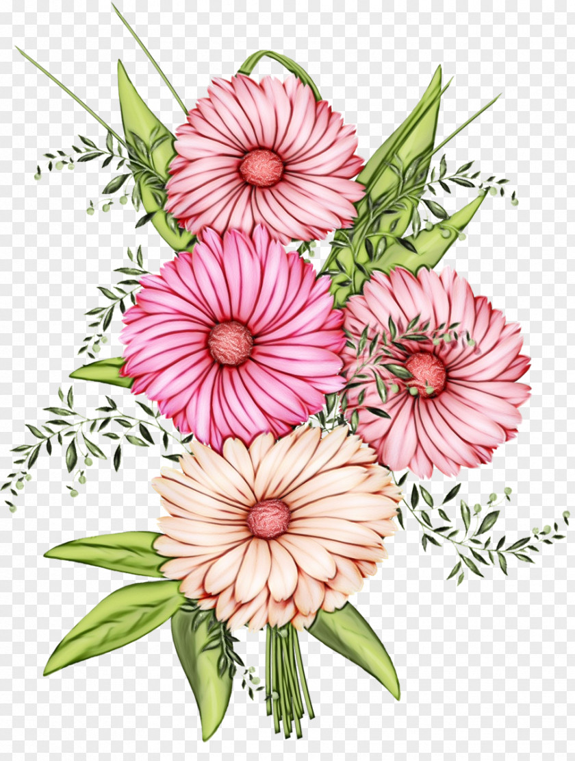 Daisy Family Herbaceous Plant Bouquet Of Flowers Drawing PNG