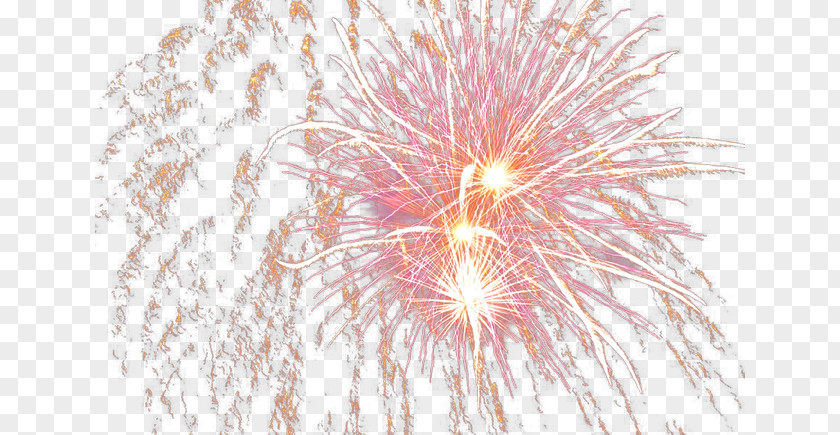 Fireworks Wallpaper Sky Tree Computer PNG