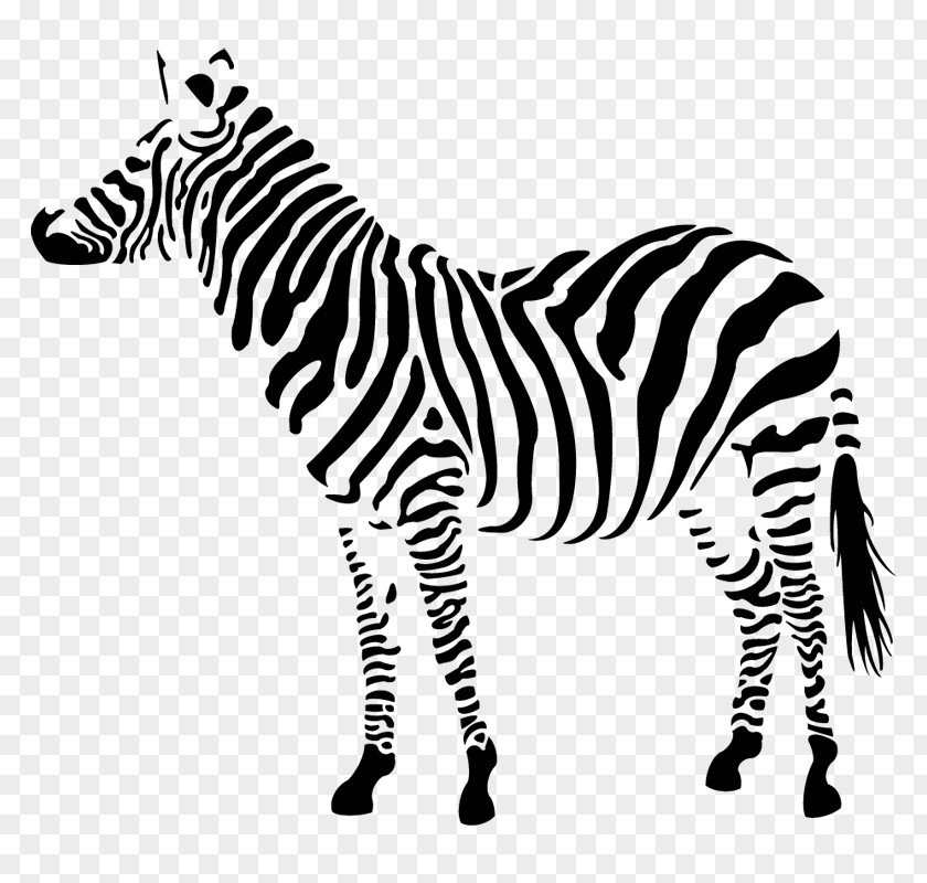 Grassland Tail Zebra Cartoon PNG