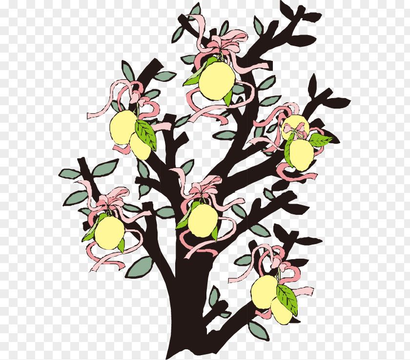 Mango Tree Vector Material Mangifera Indica Euclidean Clip Art PNG