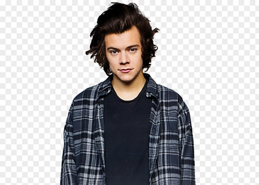 One Direction Harry Styles The X Factor PNG