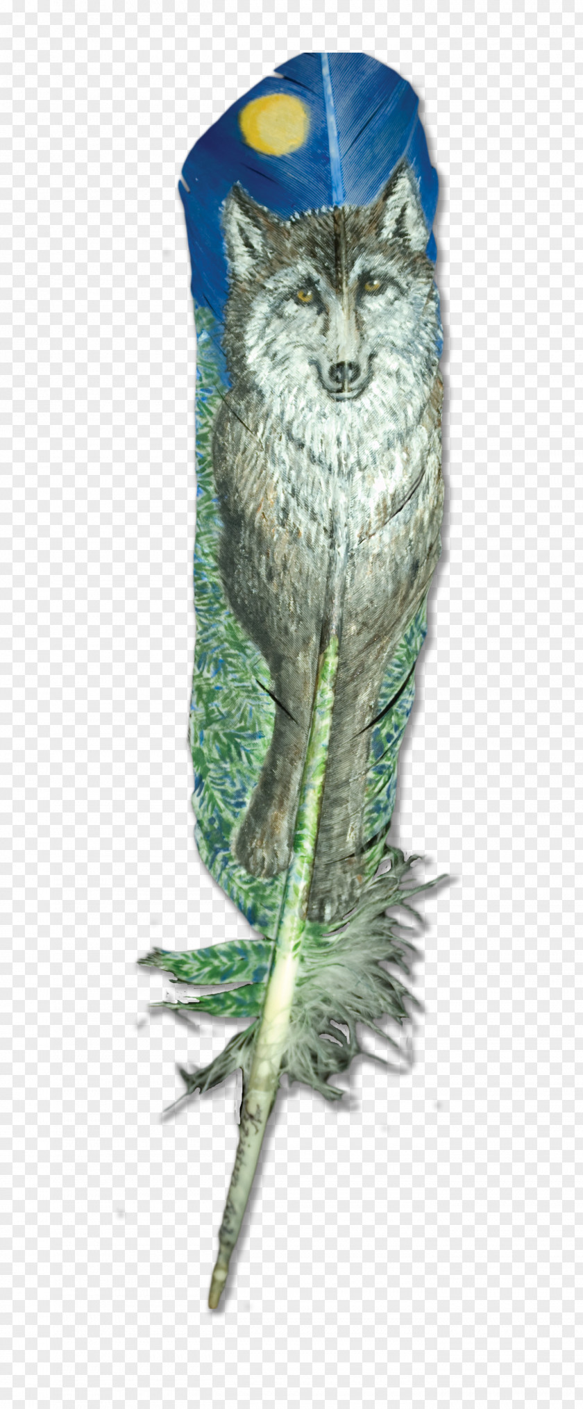 Owl Feather Beak Tail Art PNG