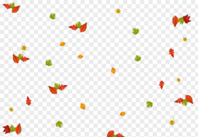 Tree Timeline Desktop Wallpaper Autumn PNG