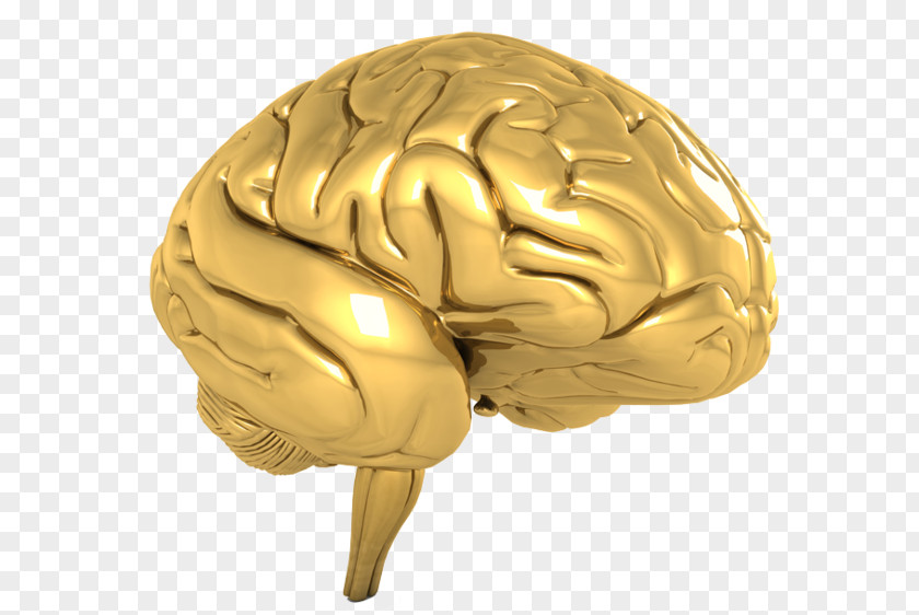 Brain Human Gold Cognitive Training Hidden Eye PNG