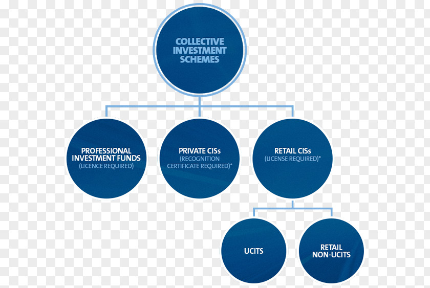 Business Brand Diagram PNG