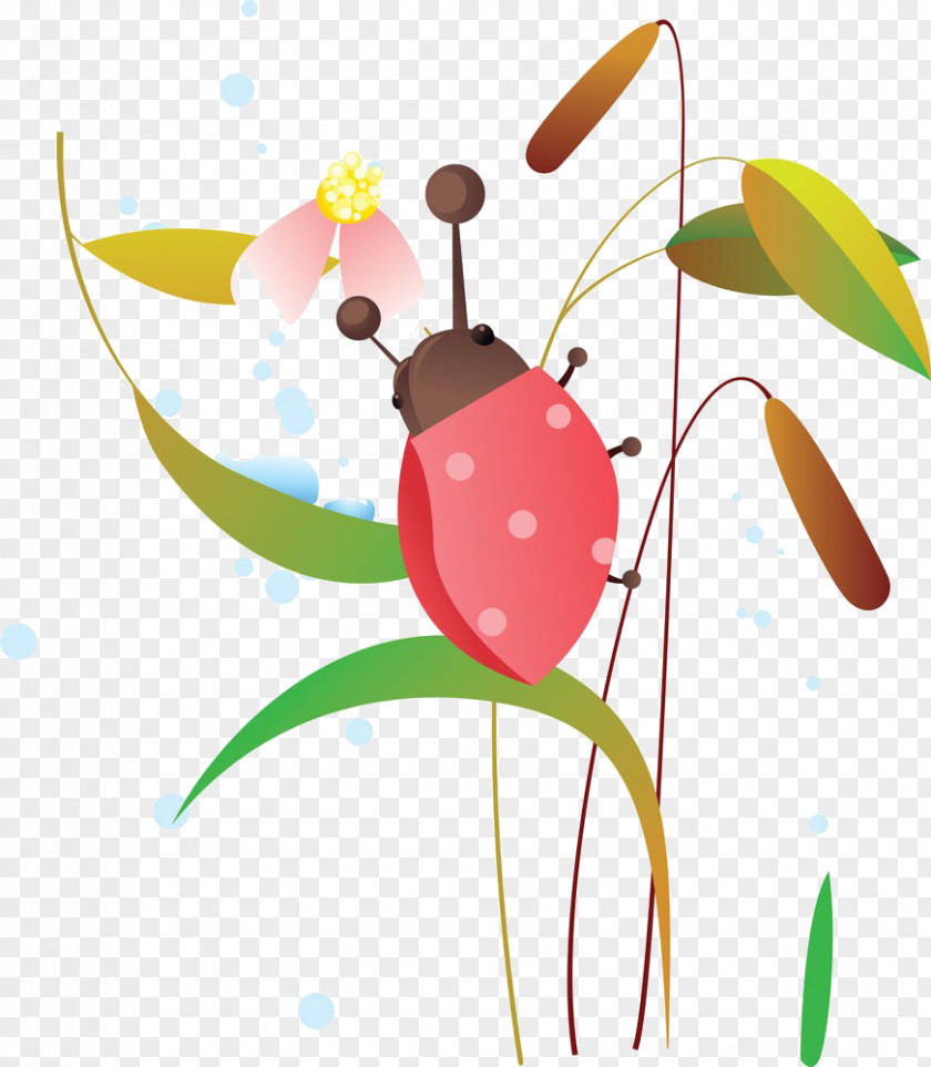 Cartoon Seven Star Ladybug Leaves Ladybird Royalty-free Illustration PNG