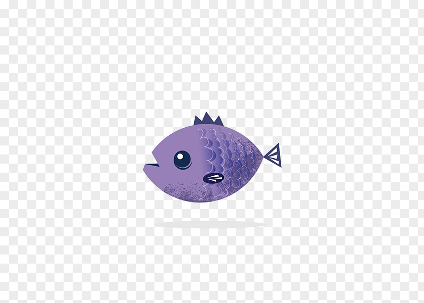 Colorful Stone Fish Purple Drawing PNG